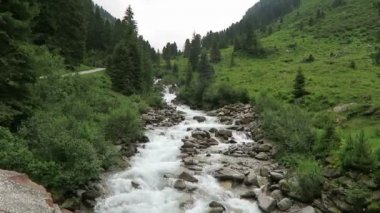 Zillertal Alps su ama stream orman ve dağlar. Hohe Tauern ulus Parkı. Schwarzachtal.