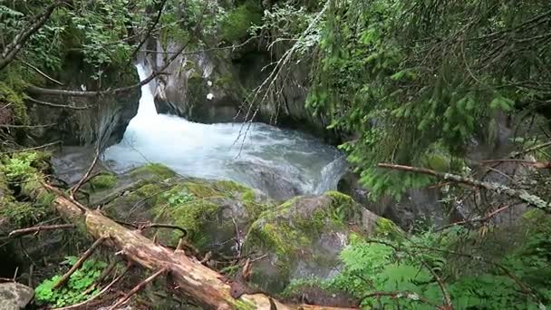 Hiking along the gerlos stream at Gerlostal valley at Zillertal area. Hight tauern mountain range. — Stock Video