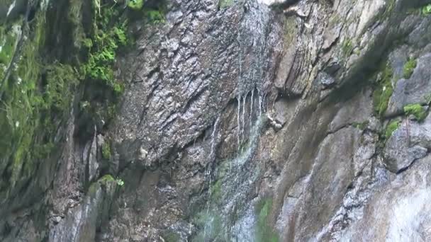 Vista para a água do desfiladeiro de m Wild-Gerlostal-Leiternkammerklamm (Tirol / Áustria ). — Vídeo de Stock