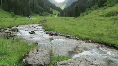 Zillertal Alps su ama stream orman ve dağlar. Hohe Tauern ulus Parkı. Schwarzachtal.