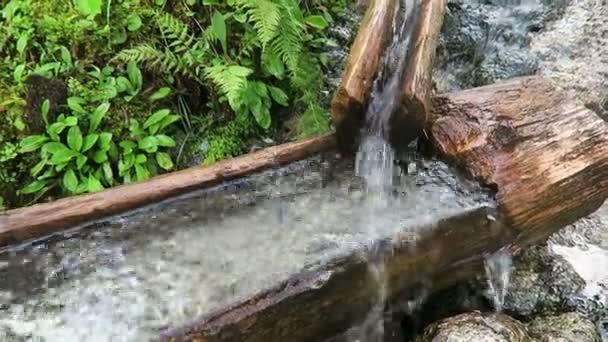 Fontána Kmen Stromu Evropských Alpách Tekoucí Voda — Stock video