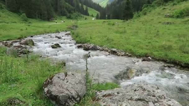 Wild stream stromen door de vallei van de Schwarzachtal in Tirol /Austria. — Stockvideo
