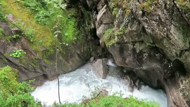 Gerlos stream stromen echter de Wild-Gerlostal vallei in Tirol / Oostenrijk. — Stockvideo