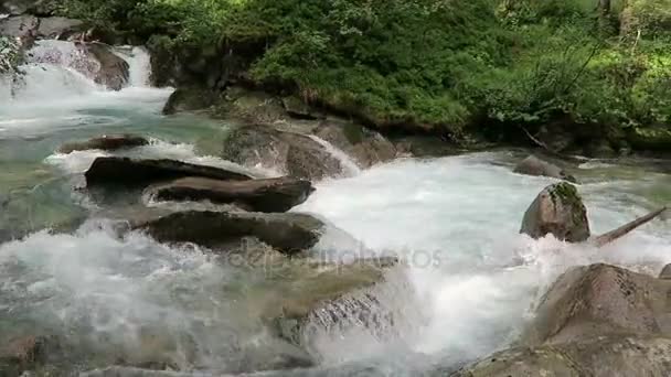 Il torrente Gerlos scorre attraverso la valle Wild-Gerlostal in Tirolo / Austria . — Video Stock