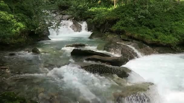El arroyo Gerlos fluye a través del valle Wild-Gerlostal en Tirol / Austria . — Vídeos de Stock
