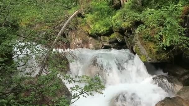 Gerloser Bach fließt durch das Wildgerlostal in Tirol / Österreich. — Stockvideo