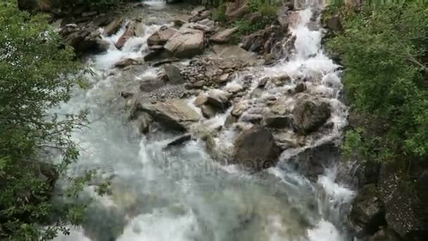 Il torrente Gerlos scorre attraverso la valle Wild-Gerlostal in Tirolo / Austria . — Video Stock