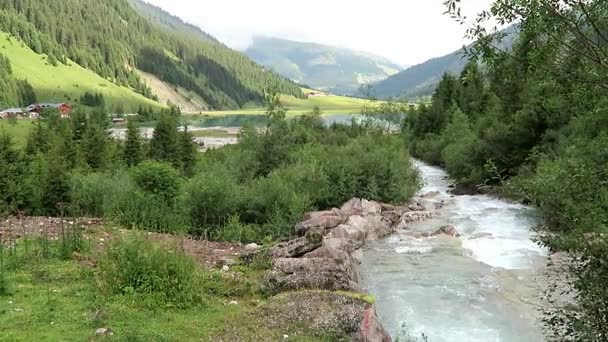 Gerlos ström flyter dock dalen Wild-Gerlostal i Tirol / Österrike. — Stockvideo