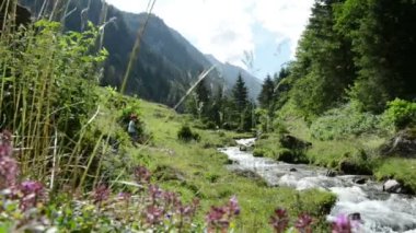 Gerlos, Tirol / Avusturya 22 Temmuz 2016: Zillertal Valley vahşi Schwarzach dere boyunca yürüyüş uzun yürüyüşe çıkan kimse