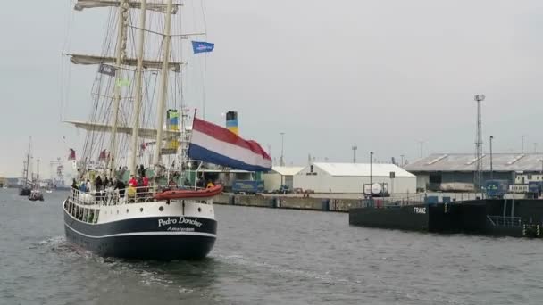 Warnemuende, Mecklenburg-Vorpommern / Almanya 13 Ağustos 2016: tarihsel yelkenli tekneler ve Warnemuende, Rostock liman boyunca Hanse Yelken hafta sonu olay sırasında yelken yelkenli. — Stok video