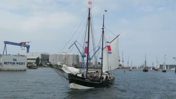 Warnemuende, Mecklenburg-Vorpommern / Γερμανία 13 Αυγούστου 2016: ιστορικά ιστιοφόρα και σκούνα πλέουν κατά μήκος του λιμανιού του Ρόστοκ στο Warnemuende κατά τη διάρκεια εκδήλωσης Hanse Sail Σαββατοκύριακο. — Αρχείο Βίντεο