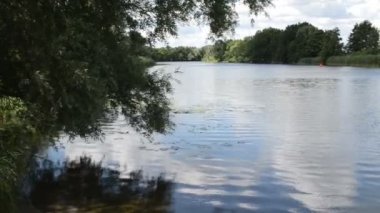 Havel Nehri (Brandenburg Almanya) manzara Havelradweg (Havel bisiklet yolu boyunca).