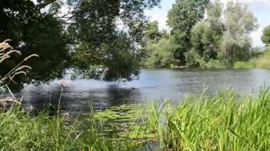 (Brandenburg Almanya Havel Nehri üzerinde tekne kürek).
