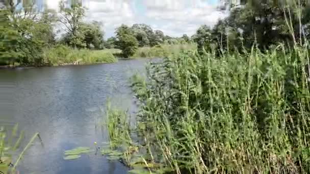 Havel floden (Brandenburg Tyskland) landskap längs Havelradweg (Havel cykelväg). — Stockvideo