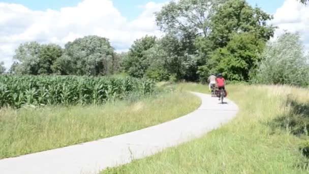 几个骑自行车沿着哈维尔河自行车路径 （德国勃兰登堡）。Havelradweg. — 图库视频影像