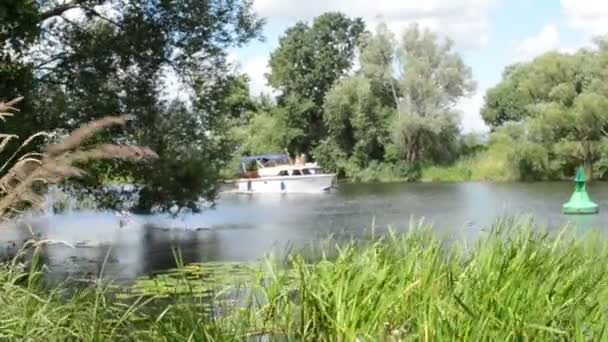 Bote de remos en el río Havel (Brandeburgo, Alemania) ). — Vídeo de stock