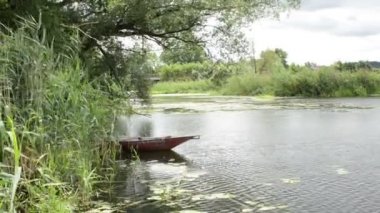 Tekneyi kıyıya Havel Nehri (Brandenburg Almanya) üzerinde kürek. Havelradweg (Havel bisiklet yolu manzara)