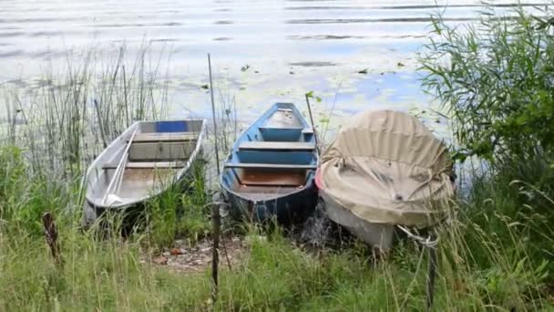 Rodd båt på stranden av Havel floden (Brandenburg Tyskland). Landskapet längs Havelradweg (Havel cykelväg) — Stockvideo