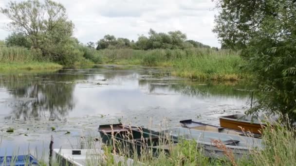 Barco a remo na margem do rio Havel (Brandemburgo, Alemanha). Paisagem ao longo de Havelradweg (caminho de bicicleta Havel ) — Vídeo de Stock