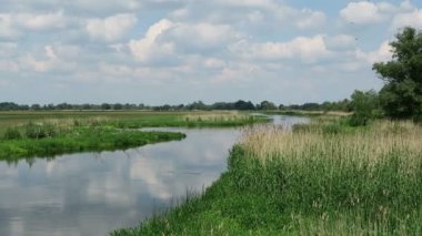 Havel Nehri (Brandenburg Almanya) manzara