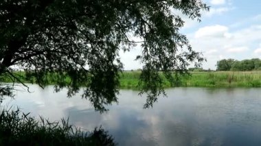 Havel Nehri (Brandenburg Almanya) manzara