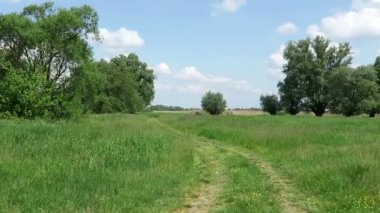 tipik Havelland yatay, çayır (Almanya). çayır üzerinde giden yol