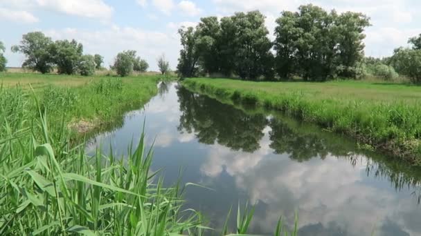 Havel floden (Brandenburg Tyskland) landskap — Stockvideo