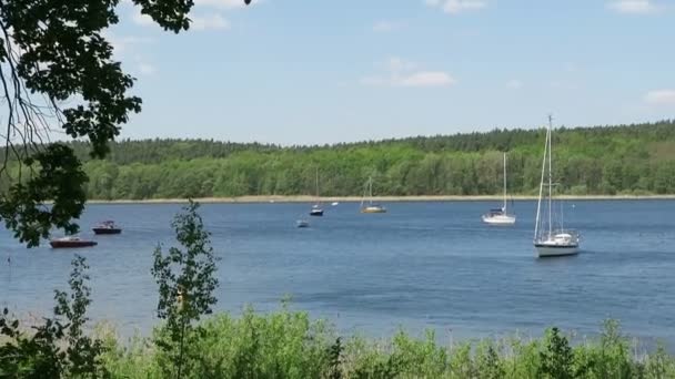 Plachetnice a motorové čluny na řece havel vedle Potsdam (Německo) — Stock video