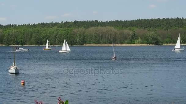 Barcos à vela e lanchas a motor no rio havel ao lado de Potsdam (Alemanha ) — Vídeo de Stock