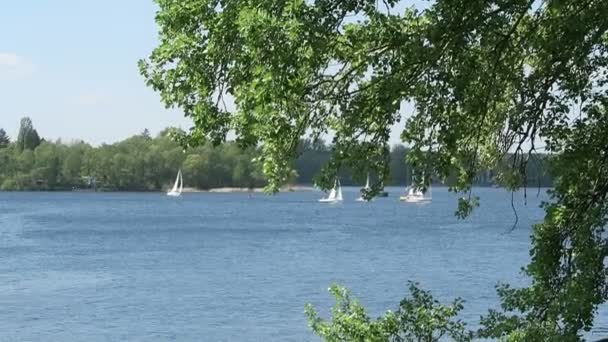 Zeilboten en motorboten op havel rivier naast Potsdam (Duitsland) — Stockvideo