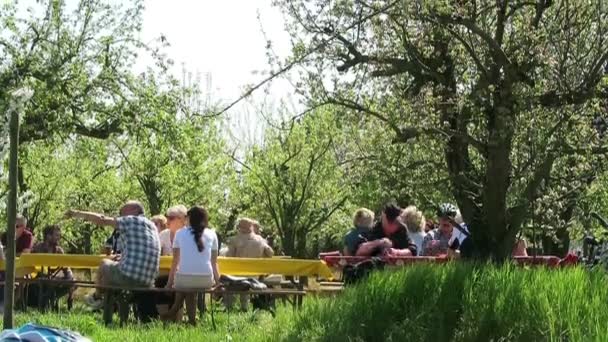 Mensen zitten onder bloeiende apple probeert genieten van de lente. Werder (Duitsland) — Stockvideo