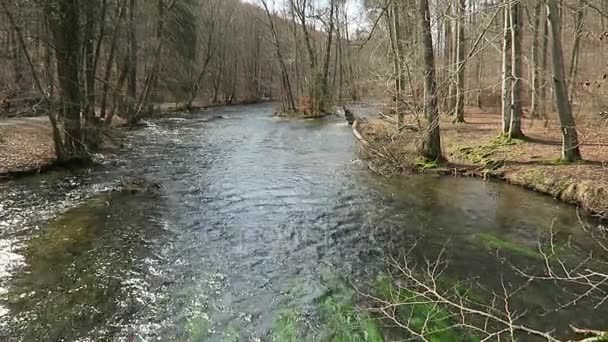 Paesaggio del paesaggio fluviale di Wuerm in primavera — Video Stock
