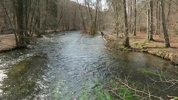 Landschaft der Würm Flusslandschaft im Frühling — Stockvideo