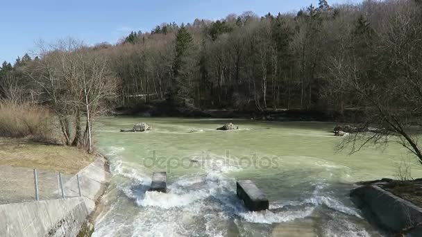 Río Isar en primavera. día caluroso. situado junto a pullach, Baviera . — Vídeos de Stock