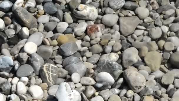 Des rochers de la rivière Isar. petites vagues . — Video