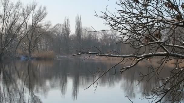 Bahía de nieve en el río Havel en invierno — Vídeos de Stock