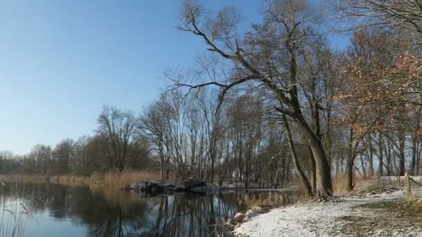 Snö bay vid Havel floden vintertid — Stockvideo