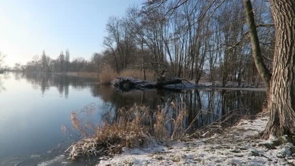 Снежный залив на реке Гавел в зимнее время — стоковое видео