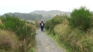 İnsanlar Hiddensee Isle dornbusch tepede (Almanya hiking)