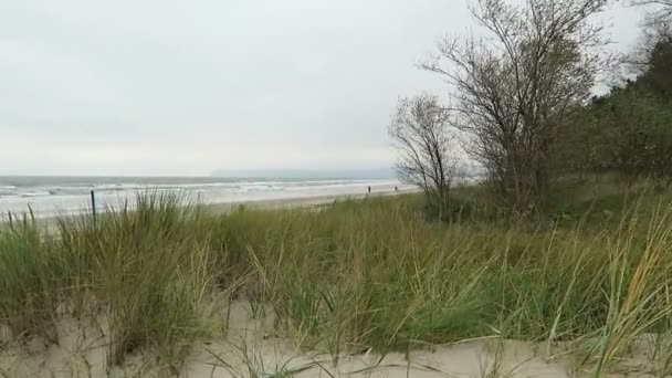 Wandelen langs op het strand van Prora (Rugen Island, Duitsland) — Stockvideo