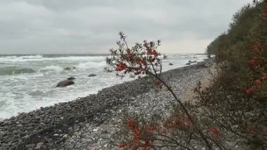 Plaj sahil şeridi Cape Arkona (Almanya)