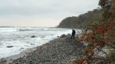 Plaj sahil şeridi Cape Arkona (Almanya)