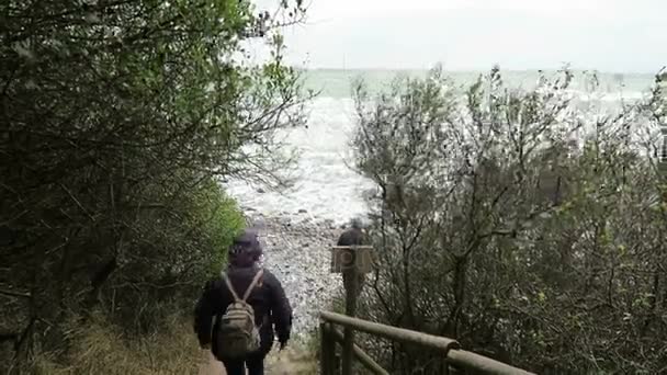 Pessoas que descem um caminho para a praia do penhasco de giz do Cabo Arkona no mar Báltico . — Vídeo de Stock
