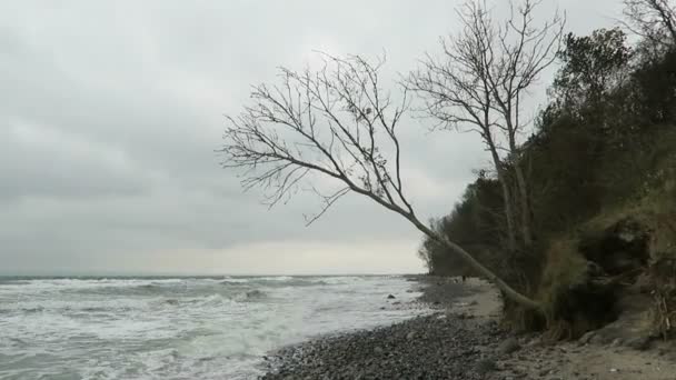 Spiaggia sulla costa di Capo Arkona (Germania) ) — Video Stock