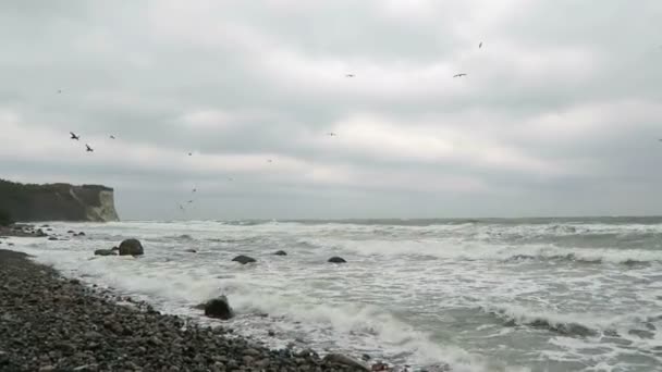 Spiaggia sulla costa di Capo Arkona (Germania) ) — Video Stock