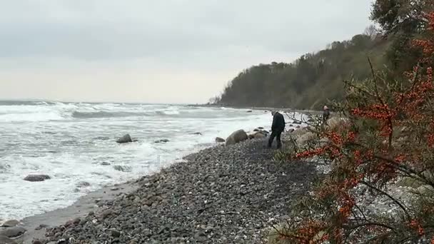 Plaj sahil şeridi Cape Arkona (Almanya) — Stok video
