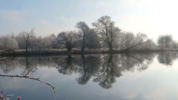 Rime frost landskap vid floden Havel (Havelland, Brandenburg - Tyskland). — Stockvideo