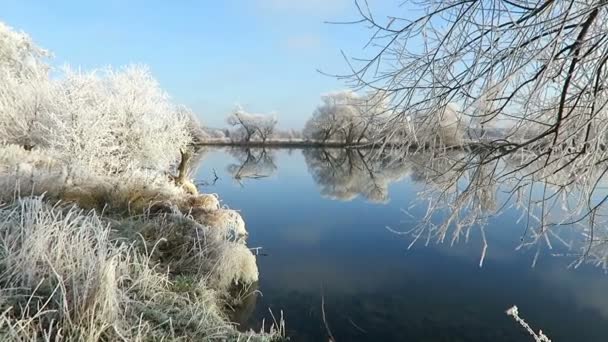 Rime frost landskap vid floden Havel (Havelland, Brandenburg - Tyskland). — Stockvideo