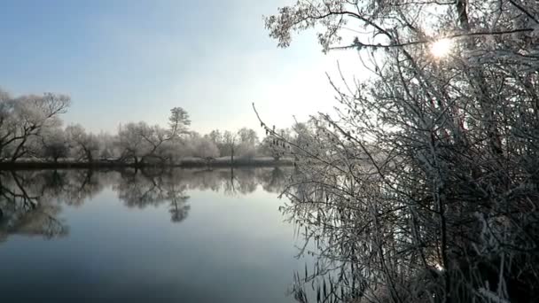 Rime frost landscape στον ποταμό Havel (Havelland, Brandenburg - Γερμανία). — Αρχείο Βίντεο