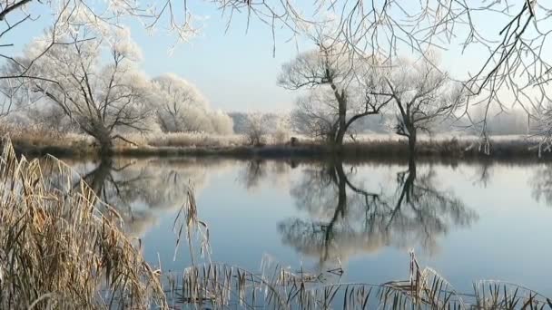 Rime gelo paesaggio al fiume Havel (Havelland, Brandeburgo - Germania ). — Video Stock